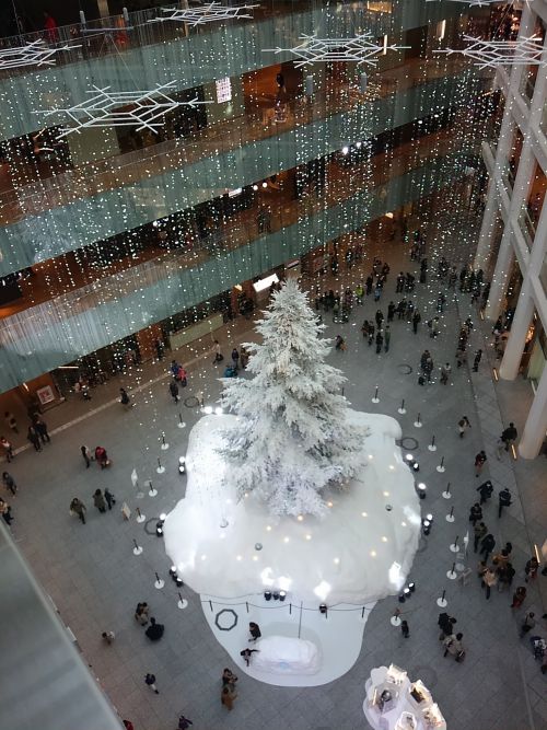 上から見るとこんな感じ。