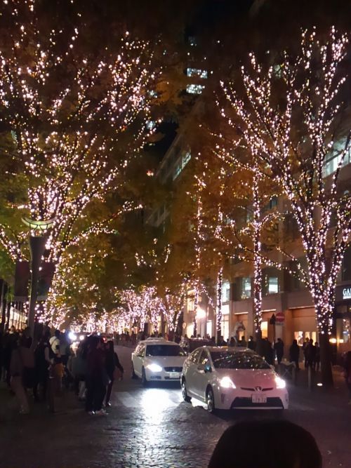 このきらめきが1.2kmも続きます。