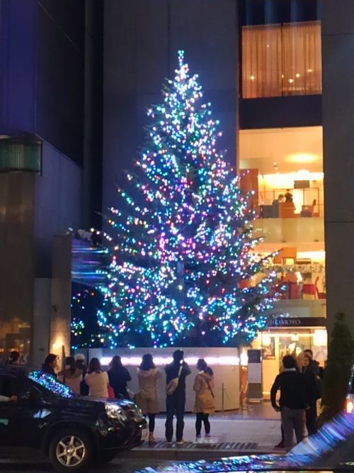 道をはさんで全体像を見ます。