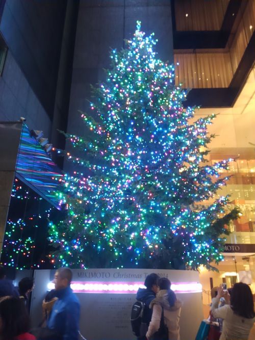 近づくと迫力を感じます。