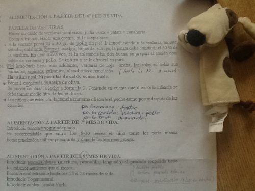 生後6~9カ月の離乳食指導表＠スペイン・バレンシア