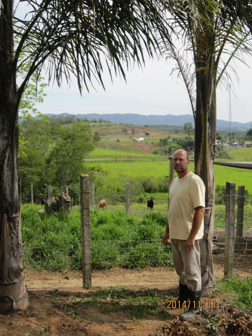 サンパウロ市近郊にある羊の育種農場の風景