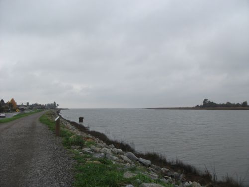 フレーザー河の河口。バンクーバー空港のそばの散歩道