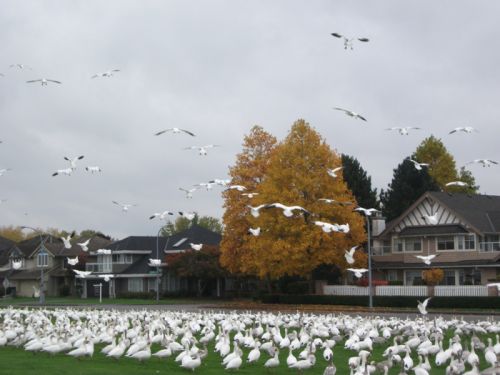 住宅街のすぐそば。ここに住んでいたら嫌かも。