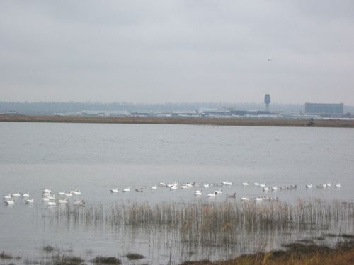 バンクーバー国際空港の対岸でもあります