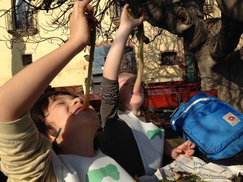 カルソットCalcotsの正しい食べ方。