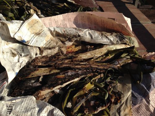 これ、一人分で15本くらいはあった！皆にとって、これは前菜にすぎない。