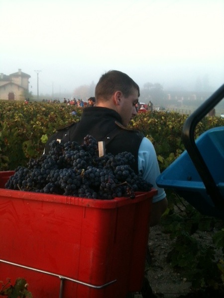 ９月１０月は収穫期