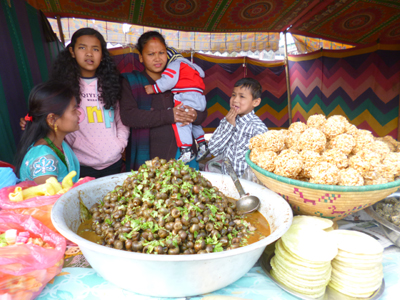 巻き貝が山盛り！カタツムリ？！