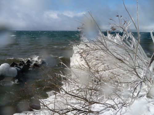 天然オブジェ　しぶき氷