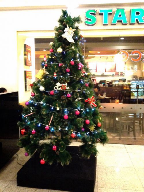 こちらはスターバックス前に置かれたツリー