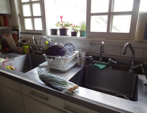 ２つの流しのそれぞれに上水道からと貯水槽からの２つの蛇口が設置されている一軒家の家庭のキッチン