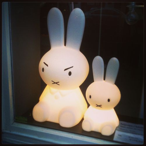 やけに凛々しいMiffyちゃん