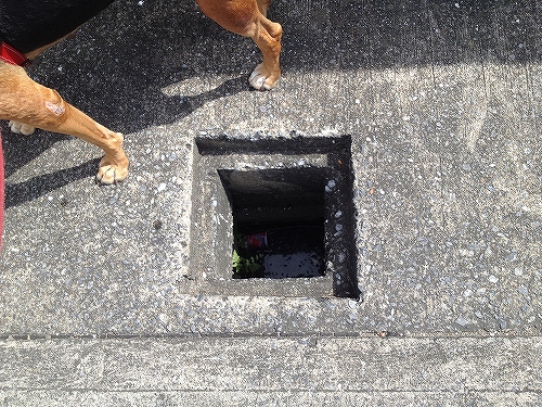 他にもこんな穴や。。。