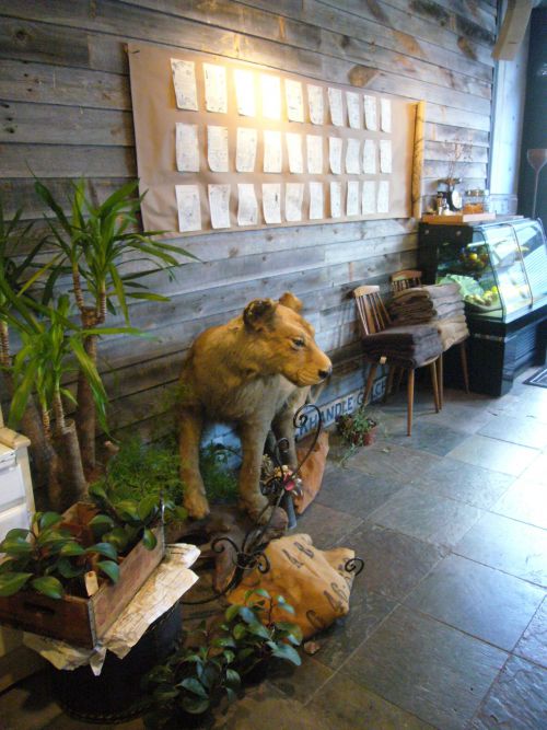 お店を開けるとアートとメスライオン（？）が迎えてくれます