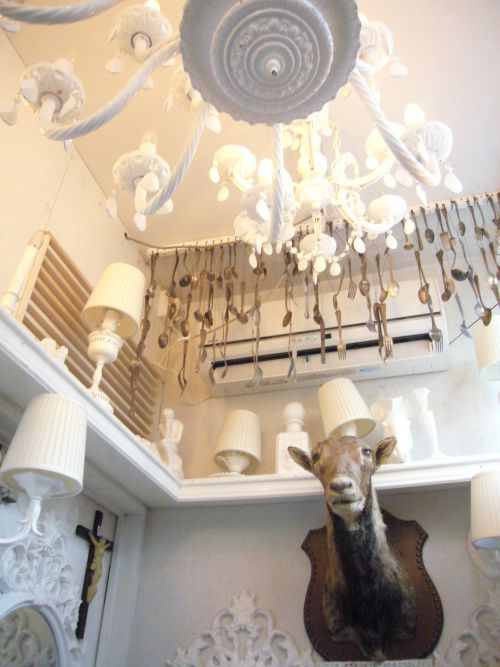 これがトイレ！！