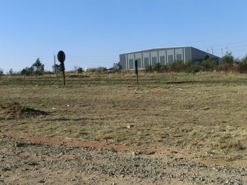 道路脇の草むらや歩道には、よく見るとゴミがたくさん落ちています