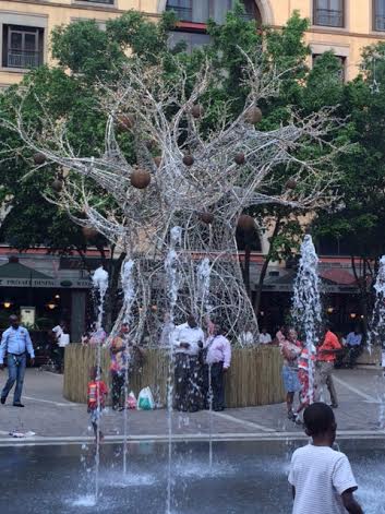 モミの木よりもアフリカらしい、バオバブのクリスマスイルミネーション