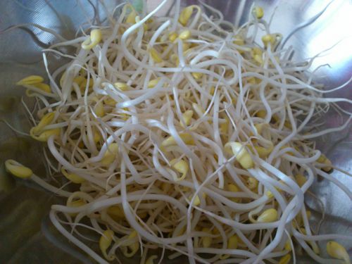 スープに入れたり、韓国おひたし「ナムル」にしたりします