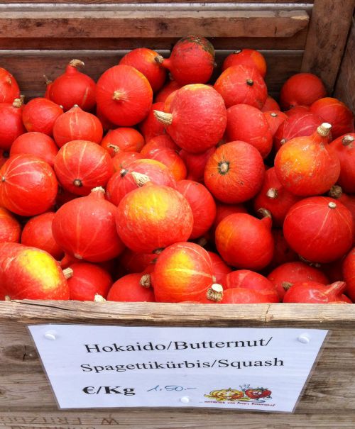 ドイツでHokkaidoと言えば、こちら！