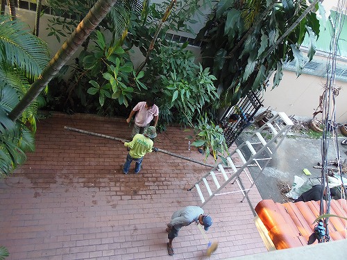 家の周りの見通しを良くしましょう