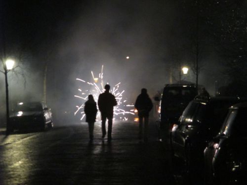 毎年恒例、ご近所さん歓迎の花火パーティー