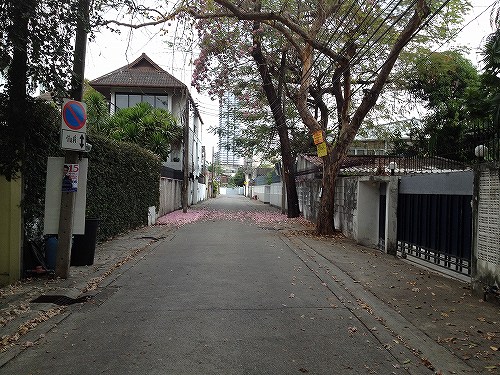 地面はピンク色に染まっています