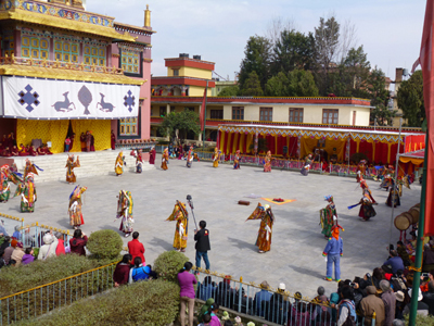 広い境内を舞台に