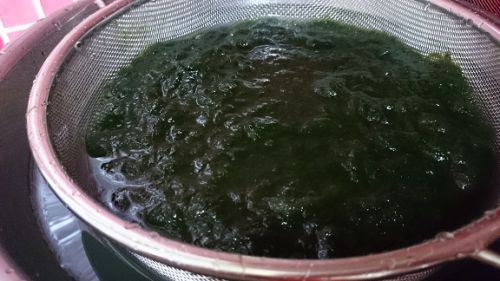 水につけるとすごいボリューム、これで約250円