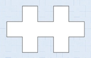 ピースは、この一つの形のみ