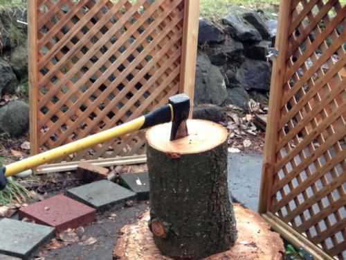 さあ、木こりの真似事が始まります