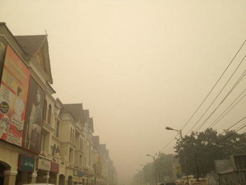 上と同じ場所。現地に住む友人が撮影