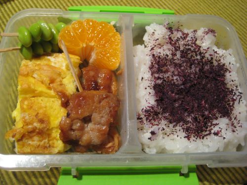 恥ずかしながら、息子に持たせたある日のお弁当。日本式のお弁当でも奇妙がられたりすることはないと言います