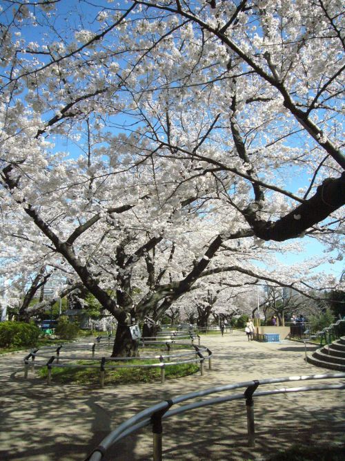 朝なので人も少なくてゆっくり楽しめます。