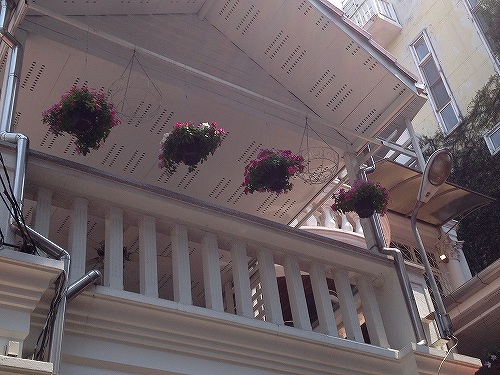 綺麗なペチュニアの鉢植えが飾られました