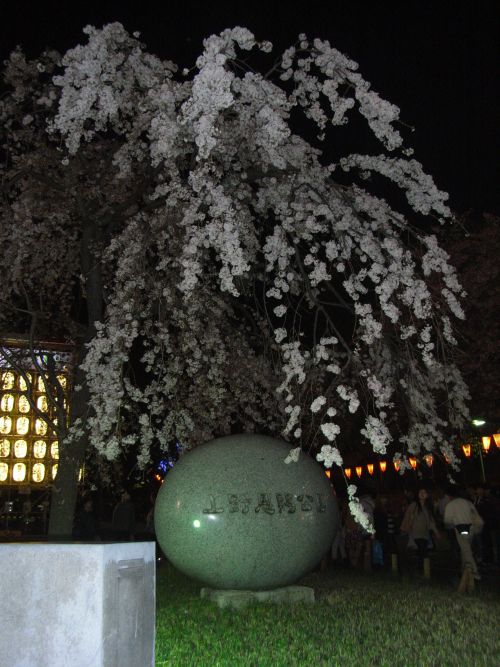 上野公園の夜桜