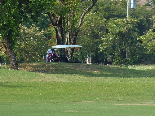 キャディーさん雇用も増大したようです