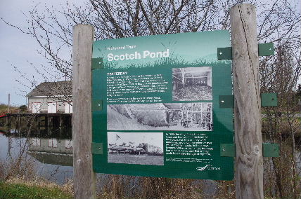 看板に日系人の歴史についての記述もあります