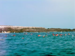 繁忙期はこの１０倍？？？