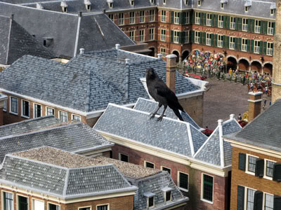 鳥も訪問するほど？楽しい場所なのかも