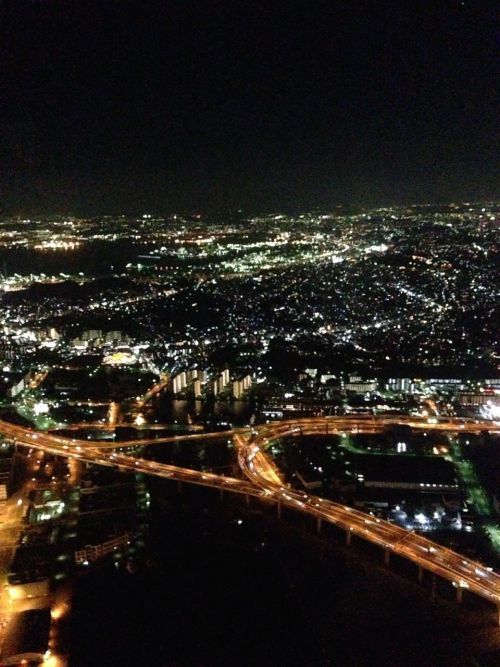 友人が撮った写真です。キラキラ美しいです