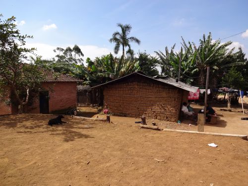 グアラニ族の集落テノンデポランに建つ家屋