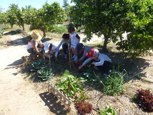 大人がヨガを楽しんでいる間、子どもたちは畑仕事！