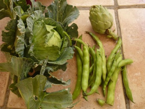 子どもは自分が収穫した野菜だとモリモリ食べる！