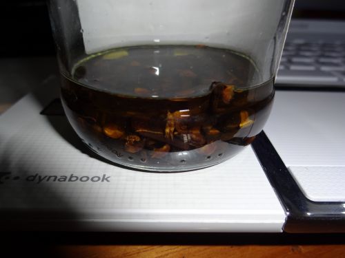 爪水虫の薬のためにアルコールで丁子（クラーヴォ・デ・インディオ）をつけた様子