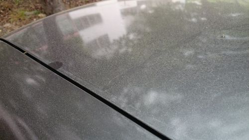 車にも、黄砂か花粉かPM２．５か、何やらすぐに積もります