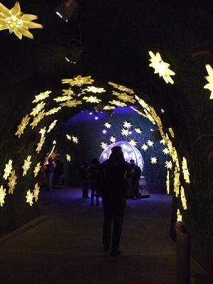 駅内に新しくできた、エーデルワイスのトンネル