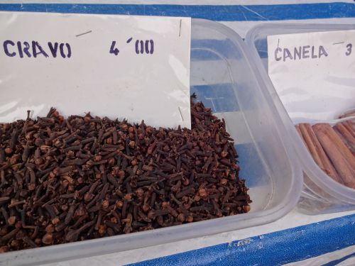 ブラジルの朝市でも販売されている丁子（クラーヴォ・デ・インディオ）