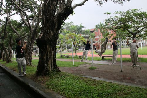 ナマケモノは誰だ？