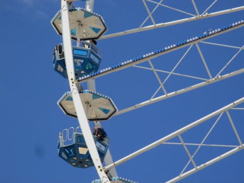 強い風が吹くと、左右に大きく揺れだします